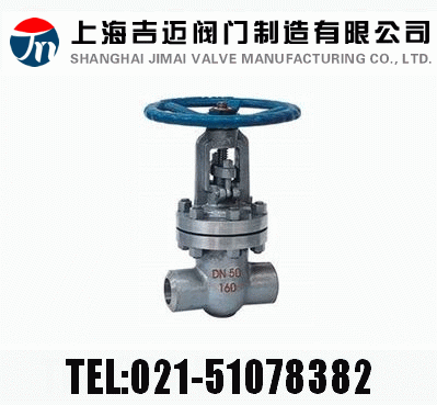 Z61HZ61YZ61W  PN100~PN160 в庸Шʽly
